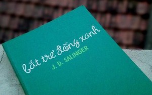 Ước mơ ngắm lũ trẻ trên cánh đồng xanh