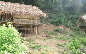 Vụ thảm sát ở Bình Phước và Nghệ An: Không dừng lại ở '17 ngày phá án'