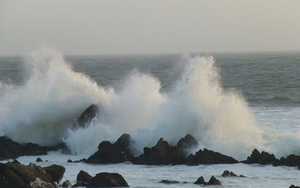 Cảnh báo mưa dông, sóng lớn trên biển