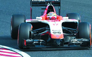 FIA treo số xe 17 của Jules Bianchi