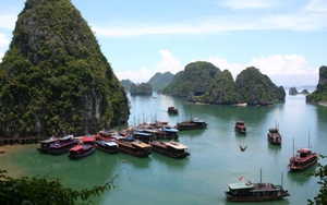 Giảm số lượng tàu du lịch hoạt động trên Vịnh Hạ Long do quá tải