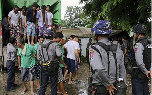 Cơn khát gỗ Trung Quốc đè nặng lên các cánh rừng Myanmar