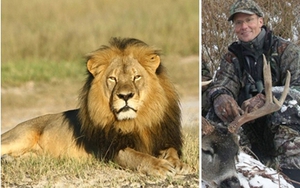 Vụ ‘vua sư tử’ Cecil bị thợ săn Mỹ sát hại: Cơn phẫn nộ toàn cầu