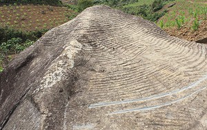 Phát hiện bãi đá cổ Mù Cang Chải chạm khắc chim hạc, ngựa trời, âm dương ngũ hành...