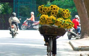 Hà Nội: Ngày nắng, đêm không mưa