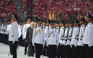 Đàn bò thả rông và câu chuyện thành công của Singapore
