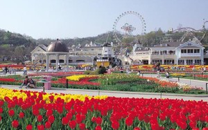 Gyeonggi quảng bá du lịch tại Hà Nội