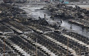 Vụ nổ Thiên Tân khiến Hyundai Motor thiệt hại 136 triệu USD