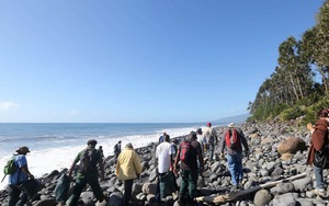 10 ngày tìm kiếm MH370 trên đảo Reunion thành công cốc