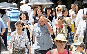 Nắng nóng bất thường giết 39 nạn nhân, 'đẩy' hàng chục ngàn người Nhật vào viện