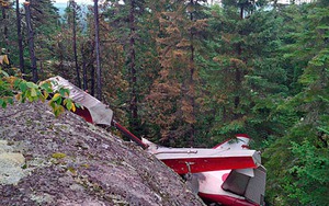 Máy bay chở khách du lịch rơi xuống rừng rậm tại Canada, 6 người chết