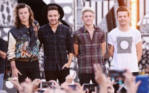 Vì đâu One Direction 'đột tử' trên đỉnh vinh quang?