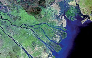 Gần nửa diện tích Đồng bằng sông Cửu Long bị ngập úng nếu nước biển dâng