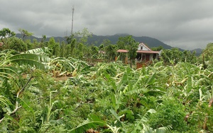 Bão số 3 đã đi qua, vẫn có hai người chết và mất tích do lũ cuốn