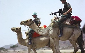 LHQ kêu gọi thế giới cùng 'hạ vũ khí và ngừng bắn trong 24 giờ'