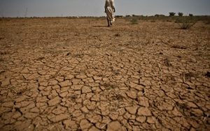 Các 'ông lớn' hàng không vũ trụ quốc tế hợp lực chống biến đổi khí hậu