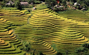 Đến Hà Giang ngắm ruộng bậc thang và dự lễ hội cúng thần rừng