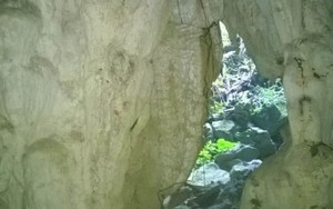 Phát hiện hang động mới ở Vườn Quốc gia Phong Nha-Kẻ Bàng