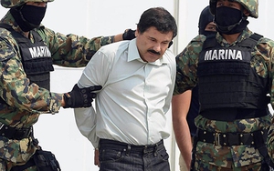 Mexico thu 11 chiếc máy bay trong chiến dịch lùng bắt "bố già" El Chapo