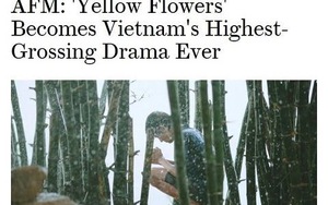 Báo Mỹ: Phim 'Tôi thấy hoa vàng trên cỏ xanh' đánh trúng tâm lý hoài cổ... ở Việt Nam
