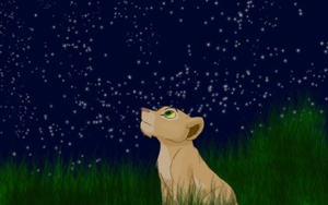 Đừng quên những bầu trời sao