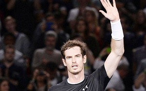 Hạ Ferrer, Murray vào chung kết Paris Masters