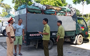 CSGT bắt xe chở 6 tấn thịt thối vào TP HCM tiêu thụ