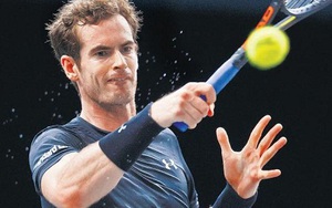 Andy Murray bận rộn với Davis Cup và ATP World Tour Finals