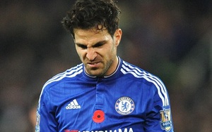 CẬP NHẬT tin sáng 16/11: Federer, Djokovic thắng trận mở màn. Fabregas từ chối Real