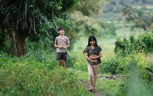 Khán giả quá đông, Tuần phim tăng suất chiếu 'Hoa vàng cỏ xanh' và một số phim