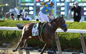 Ứng viên nặng ký danh hiệu VĐV thể thao của năm là… một chú ngựa