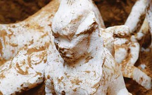 Tìm thấy tượng nhân sư cực quý ở Tây Bắc Trung Quốc