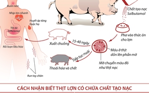 Từ ngày 1/1/2016: Mang thai hộ và nhận con nuôi cũng được hưởng chế độ thai sản