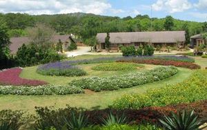 Festival hoa Đà Lạt lần thứ VI sẽ diễn ra như thế nào?