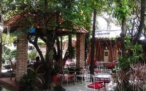 Cafe Khoảng Lặng, không gian xanh yên tĩnh giữa Sài Gòn ồn ã