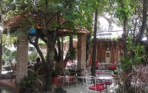 Uống cafe giữa không gian xanh & sống 'chậm' giữa Sài Gòn ồn ã