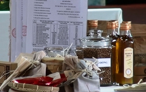 Độc đáo những sản phẩm từ cây Ngô Đồng đỏ ở Hội An