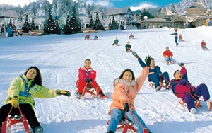 Đi 'phượt' mùa Xuân