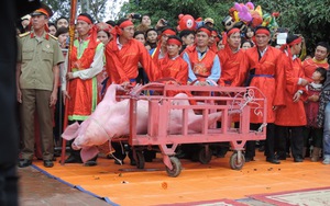 Năm 2016: Không tái diễn cảnh lôi lợn ra chém giữa sân đình