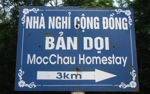 Đi Mộc Châu cứ ở những homestay như thế này là hay nhất