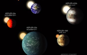 'Dư âm' Trái đất 2.0 : Vẫn còn gần 150 nhóm sao có thể có sự sống bậc cao