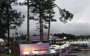 Yêu quá, Đà Lạt ơi!