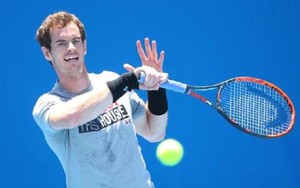 Murray đặt tên cún cưng theo tên Lleyton Hewitt