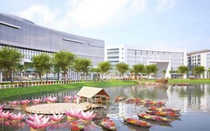 Sài Gòn, tết Bính Thân 2016: Du xuân ở đâu?