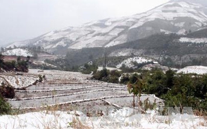 Miền Bắc rét kỷ lục, phụ huynh chủ động theo dõi thời tiết để cho con nghỉ học