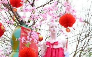 Chơi đào 'fake' ở Nhật Tân và sự ngơ ngẩn văn hóa Việt!