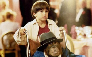 Những 'tài tử' Khỉ đáng yêu và...đáng sợ!