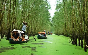 Tour Hà Nội - Cần Thơ- Châu Đốc -Nha Trang: Đi tìm cảm giác mới