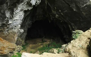 VIDEO: Xem trước các cảnh có thể lên bom tấn 'Kong: Skull Island'