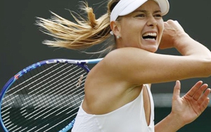 Maria Sharapova rút khỏi Indian Wells vì chấn thương